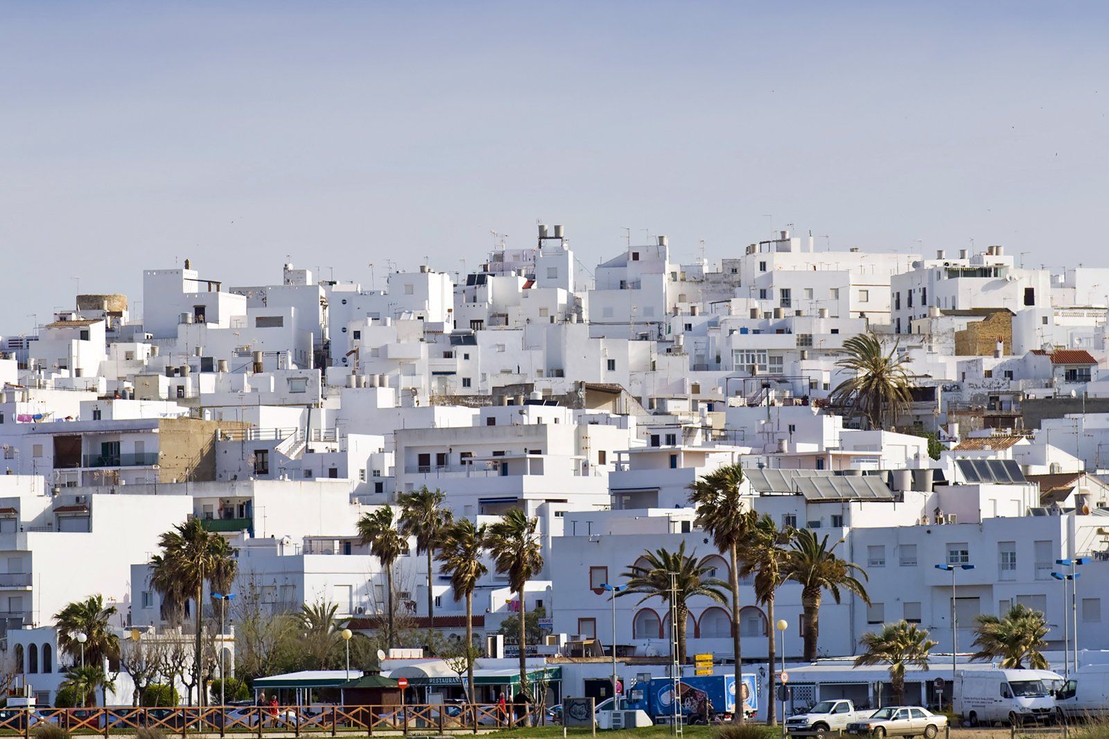 Conil